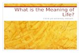 What is the Meaning of Life? Cliché yet extremely relevant.