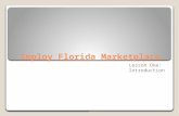 Employ Florida Marketplace Lesson One: Introduction.