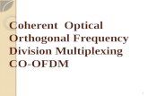 Coherent Optical Orthogonal Frequency Division Multiplexing CO-OFDM 1.