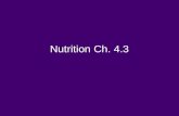 Nutrition Ch. 4.3. BELL ACTIVITY Why is breakfast so important?