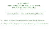 CHAPTER 2 THE STRUCTURE AND FUNCTION OF MACROMOLECULES Carbohydrates - Fuel and Building Material 1.Sugars, the smallest carbohydrates, serve as fuel and.