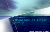 ThinkQuest Team 01724 (Oct 04 – May 05) Tsunami: Magnitude of Terror Effects.