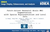 Department of Radiology and BRIC, UNC-Chapel Hill Patch-driven Neonatal Brain MRI Segmentation with Sparse Representation and Level Sets Li Wang 1, Feng.