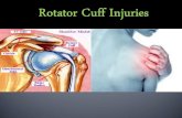 Anatomy of shoulder joint Anatomy & Physiology of rotator cuff Types of rotator cuff injuries Signs and Symptoms Diagnosed by Treatments Rehabilitation.