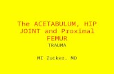 The ACETABULUM, HIP JOINT and Proximal FEMUR TRAUMA MI Zucker, MD.