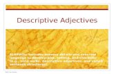 Descriptive Adjectives 2009 Lara Butler ELA6W2c: Includes sensory details and concrete language to develop plot, setting, and character (e.g., vivid verbs,