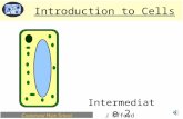 C astlehead H igh S chool Intermediate 2 Introduction to Cells J Offord.