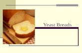 Yeast Breads. Yeast Bread Basics All yeast breads must contain flour, liquid, salt, and yeast. Many recipes also include sugar, fat and eggs.