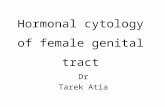 Hormonal cytology of female genital tract Dr Tarek Atia.