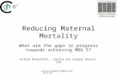 Eilish.mcauliffe@tcd.ie 16/6/10 Reducing Maternal Mortality What are the gaps in progress towards achieving MDG 5? Eilish McAuliffe, Centre for Global.
