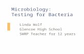 Microbiology: Testing for Bacteria Linda Wolf Glencoe High School SWRP Teacher for 12 years.