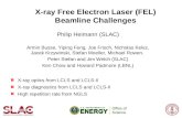 X-ray Free Electron Laser (FEL) Beamline Challenges Philip Heimann (SLAC) Armin Busse, Yiping Feng, Joe Frisch, Nicholas Kelez, Jacek Krzywinski, Stefan.