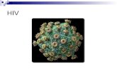 HIV. Characteristics of the virus Icosahedra (20 sided), enveloped virus of the lentivirus subfamily of retroviruses. Two viral strands of RNA found.
