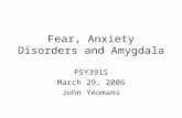 Fear, Anxiety Disorders and Amygdala PSY391S March 29, 2006 John Yeomans.