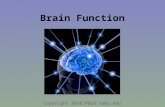 Brain Function Copyright 2010:PEER.tamu.edu. How the brain operates. What nerve cells (neurons) are and what they do. What the different parts of the.