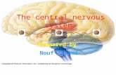 The central nervous system Prepared by Nouf Alyami.
