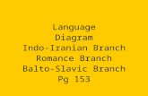 Language Diagram Indo-Iranian Branch Romance Branch Balto-Slavic Branch Pg 153.