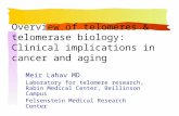 Overview of telomeres & telomerase biology: Clinical implications in cancer and aging Meir Lahav MD Laboratory for telomere research, Rabin Medical Center,