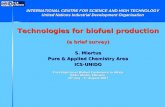 Technologies for biofuel production (a brief survey) S. Miertus Pure & Applied Chemistry Area ICS-UNIDO First-High Level Biofuel Conference in Africa Addis.