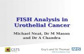 FISH Analysis in Urothelial Cancer Michael Neat, Dr M Mason and Dr A Chandra.