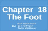 Matt Weidenbach Ben Hoffmann Taylor Westbrook By:.