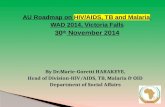 By Dr.Marie-Goretti HARAKEYE, Head of Division-HIV/AIDS, TB, Malaria & OID Department of Social Affairs.