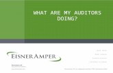 WHAT ARE MY AUDITORS DOING?. Your Presenter Dianne Batistoni, CPA –EisnerAmper Insurance Group Audit Partner – Bridgewater, NJ –908-218-5002, ext. 2239.