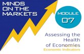 Assessing the Health of Economies Lesson 1 Economic Indicators.