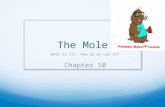The Mole What is it? How do we use it? Chapter 10.
