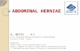 ABDOMINAL HERNIAE A. WEISS M.D D.E.S,Chirurgie Générale,Viscérale et Laparoscopique A.F.S/A.F.S.A/DU - France References: Richard S.SNELL/ Clinical Anatomy/By.