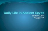 History Alive Chapter 9. Daily Life in Ancient Egypt During the New Kingdom 1600 – 1100 B.C.E.