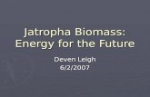 Jatropha Biomass: Energy for the Future Deven Leigh 6/2/2007.