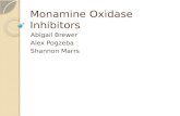 Monamine Oxidase Inhibitors Abigail Brewer Alex Pogzeba Shannon Marrs.