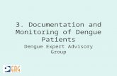 3. Documentation and Monitoring of Dengue Patients Dengue Expert Advisory Group.