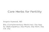 Core Herbs for Fertility Angela Hywood, ND BSc (Complementary Medicine); Dip App Sc (Naturopathy); Dip Phyto; Dip Hom; Dip CN; Dip.