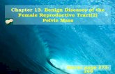Chapter 13. Benign Diseases of the Female Reproductive Tract(2) Pelvic Mass Novac page 373-399.