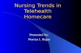 Nursing Trends in Telehealth Homecare Presented by: Norma I. Rojas.