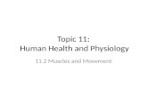 Topic 11: Human Health and Physiology 11.2 Muscles and Movement.