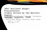 2017 National Budget Presentation Tribes Served by the Western Region Nevada, Arizona, Utah Chairwoman Virginia Sanchez, Duckwater Shoshone Tribe Councilman.