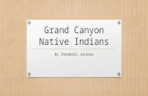 Grand Canyon Native Indians By Jhonabell Jackson.