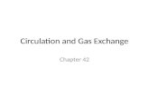 Circulation and Gas Exchange Chapter 42. Overview: Every organism must exchange materials with its environment Natural selection resulted in 2 basic adaptations.