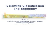 Scientific Classification and Taxonomy SB 3 c. Examine the evolutionary basis of modern classification systems.