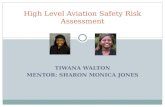 TIWANA WALTON MENTOR: SHARON MONICA JONES High Level Aviation Safety Risk Assessment.