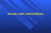MAXILLARY ANESTHESIA. Techniques of Maxillary Anesthesia Local Infiltration Field Block Nerve Block.