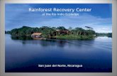 Rainforest Recovery Center at the Rio Indio Ecolodge San Juan del Norte, Nicaragua.