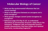 Molecular Biology of Cancer What are the environmental influences that are cancer-causing? What is the difference between an oncogene and a proto-oncogene?