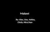 Malawi By: Alex, Lina, Ashley, Cindy, Alice,Yaya.