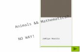 Animals && Mathematics? NO WAY! JaKiya Harris.  Content Area: Mathematics  Grade Level: 1 st  Summary: The purpose of this instructional PowerPoint.