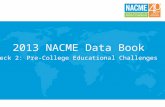 2013 NACME Data Book Deck 2: Pre-College Educational Challenges.