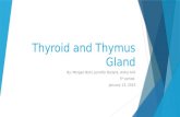 Thyroid and Thymus Gland By: Morgan Bohl, Jennifer Ballard, Ardra Anil 5 th period January 13, 2015.